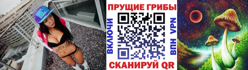 Галлюциногенные грибы Psilocybe Билибино